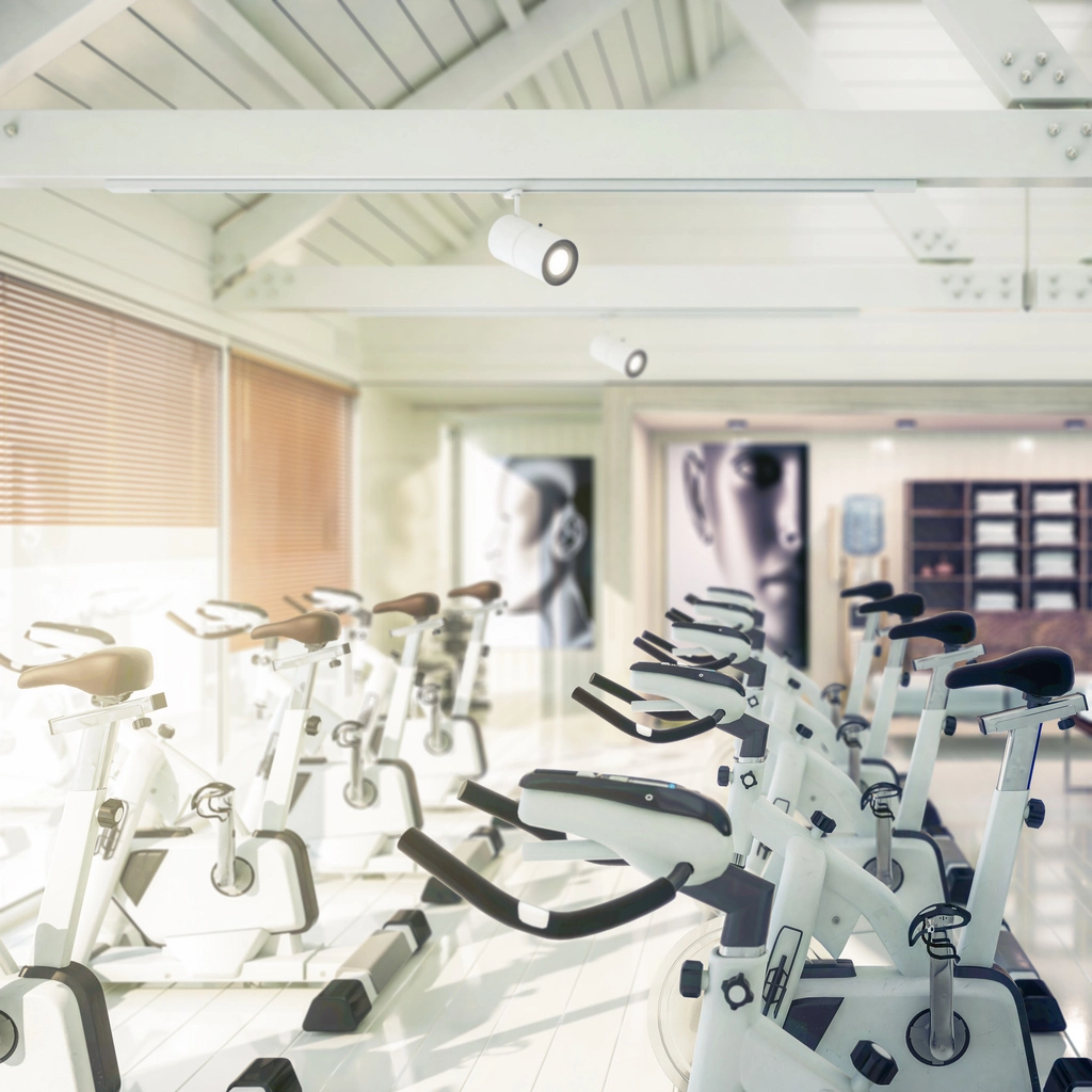gym workout floor surveillance cameras